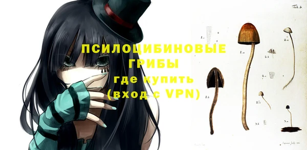 гидропоника Балабаново