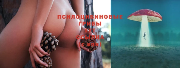 гидропоника Балабаново