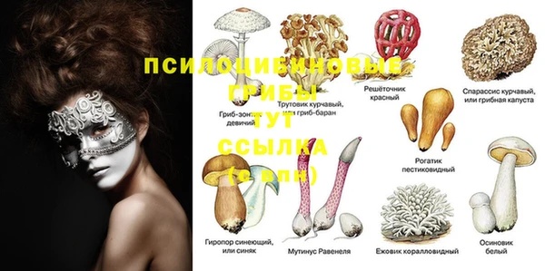 гидропоника Балабаново