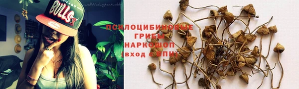 гидропоника Балабаново