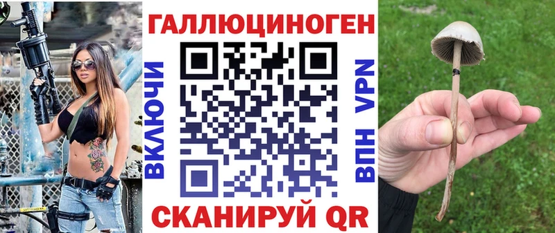 дарк нет наркотические препараты  Мышкин  Псилоцибиновые грибы ЛСД 